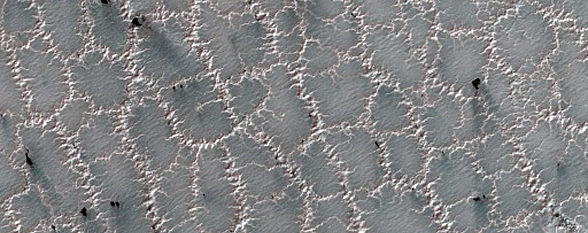 Bright and Dark Fans on Patterned Ground Dubbed Troy