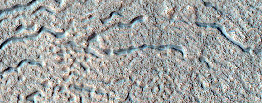 Looking for Frost in South-Facing Gullies with Bright Exposures