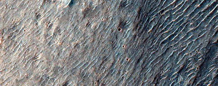 Terrain Sample