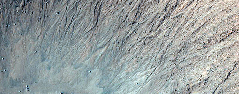 Gully Monitoring