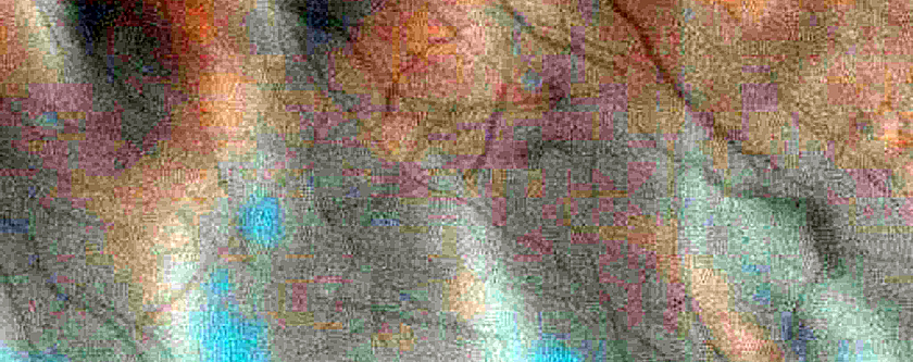 Dune Field