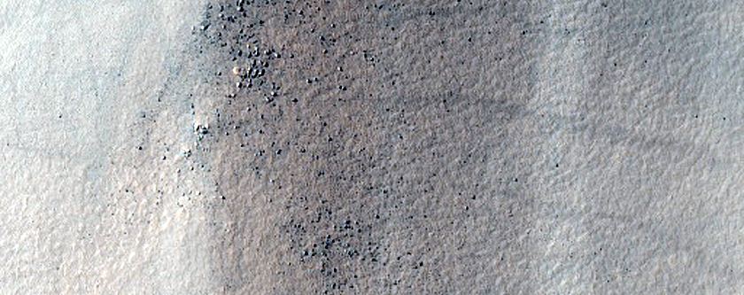 Terrain Sample