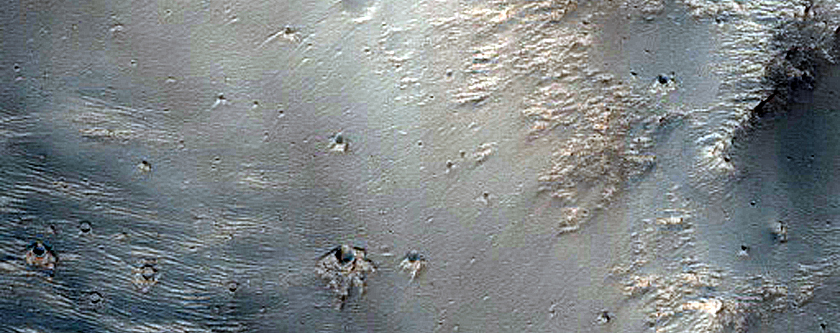 Terrain Sample