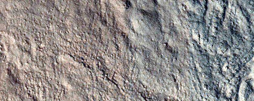 Gully Monitoring
