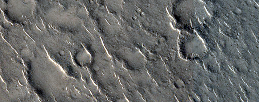 Ridges in Isidis Planitia