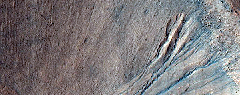 Gully Monitoring