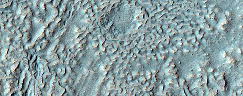Slope and Gully Monitoring