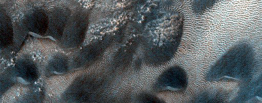 Dune Monitoring in Crater