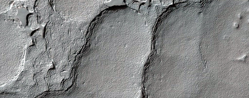 South Polar Residual Cap Monitoring