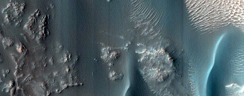 Dune Survey