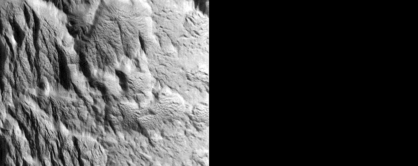 Lycus Sulci