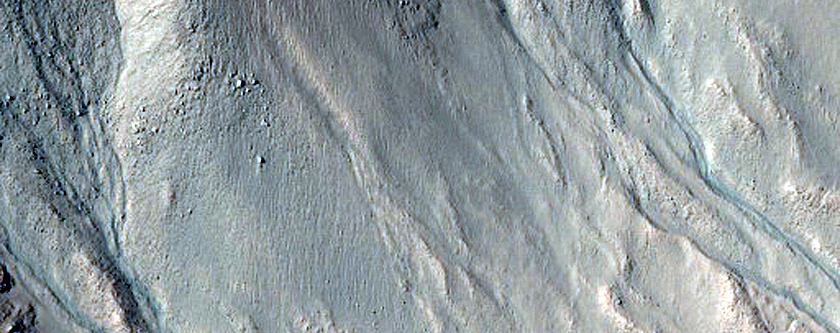 Gully Monitoring