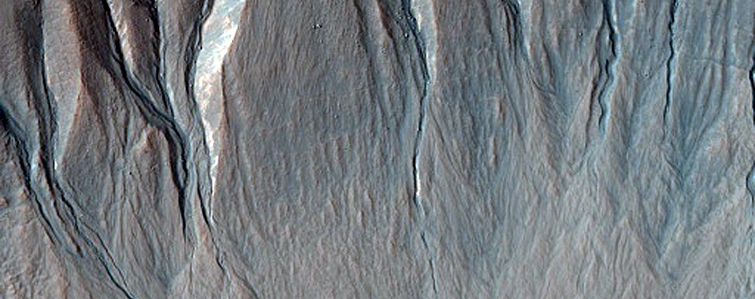Possible Gully-Associated Light-Toned Materials in Terra Sirenum