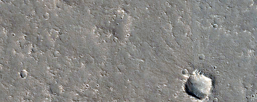 Monitoring Dust Devil Tracks