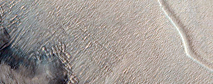 Gullies in Nereidum Montes