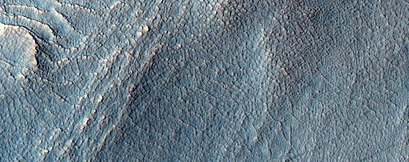 Gully Monitoring