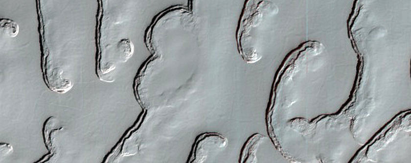 South Polar Residual Cap Monitoring