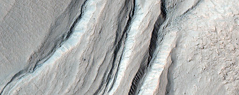 Gully Monitoring