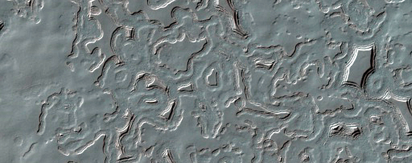 South Polar Residual Cap Monitoring