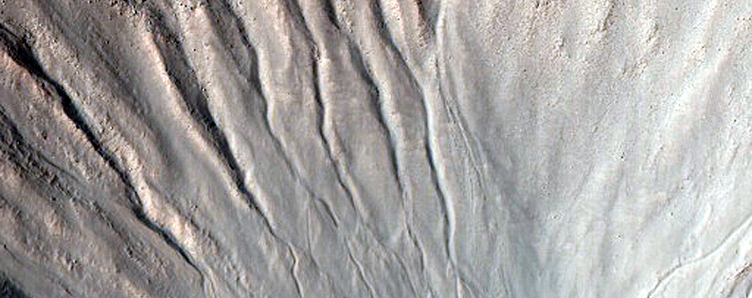 Gully Monitoring