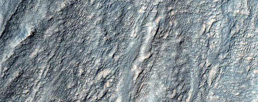 Gully Monitoring
