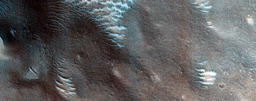 Dune Monitoring in Crater