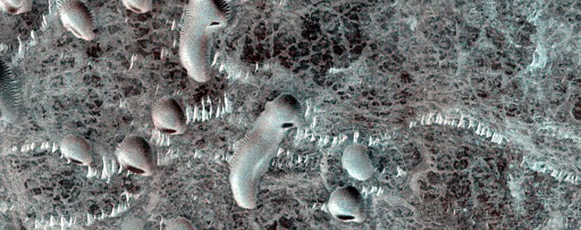 Dune Monitoring in Crater
