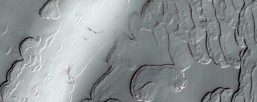 South Polar Residual Cap Monitoring