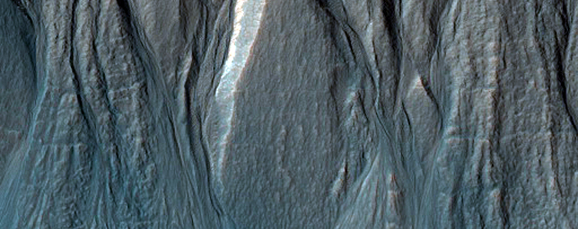 Gully Monitoring