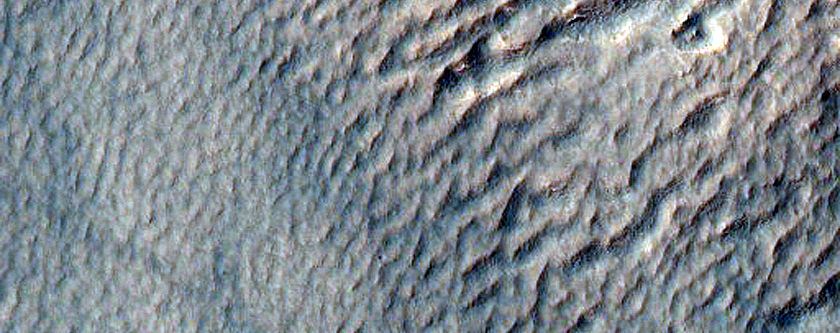 Gully and Scarp Monitoring