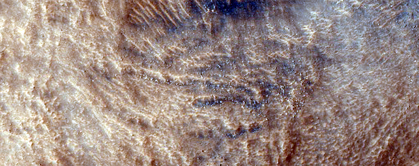 Hellas Planitia