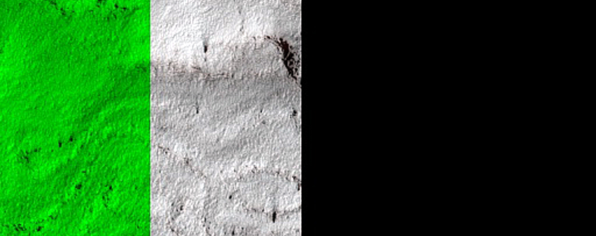 South Polar Residual Cap Monitoring