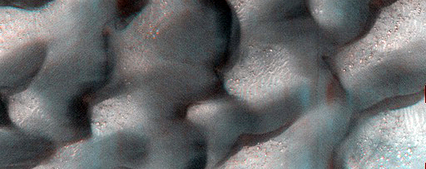 Dune Monitoring in Crater