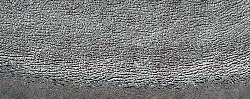 South Polar Residual Cap Monitoring