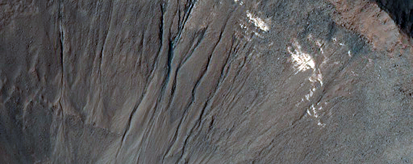 Gully Monitoring