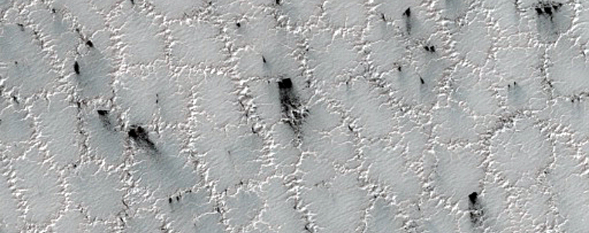 Bright and Dark Fans on Patterned Ground Dubbed Troy