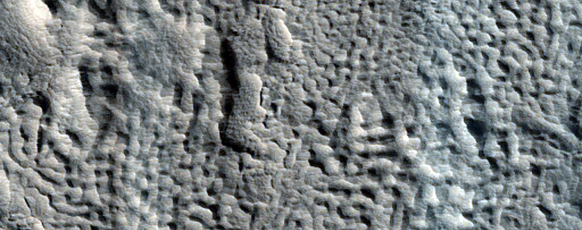 Terrain Features in Crater in Terra Sabaea
