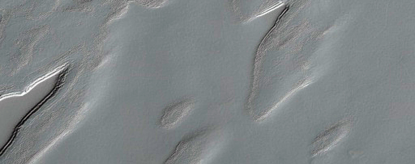 South Polar Residual Cap Monitoring