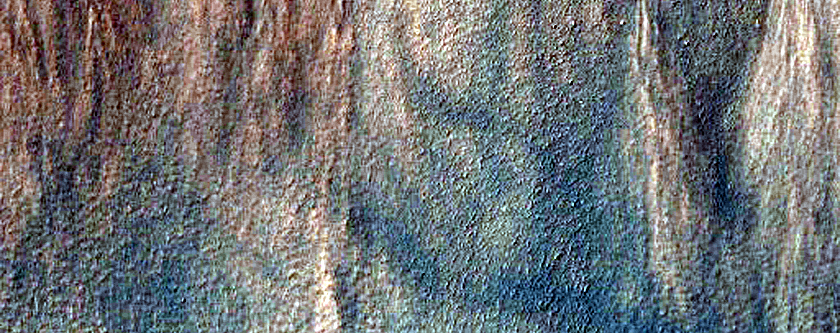 Gully Monitoring