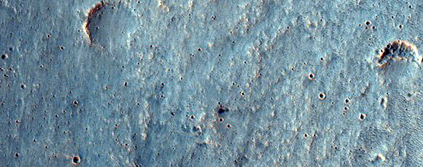 Fan in Terra Cimmeria