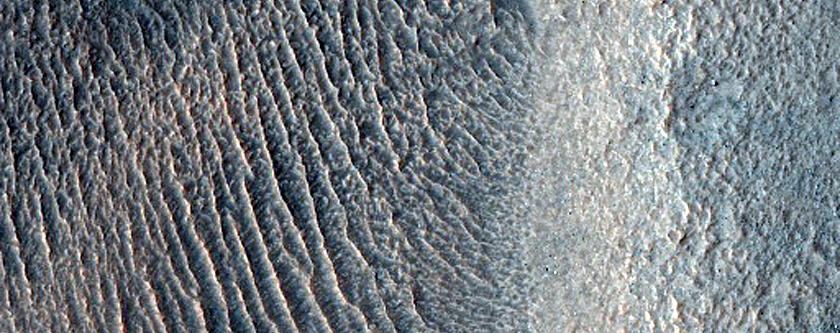 Multiple Ridges with Different  Volcanic Morphology