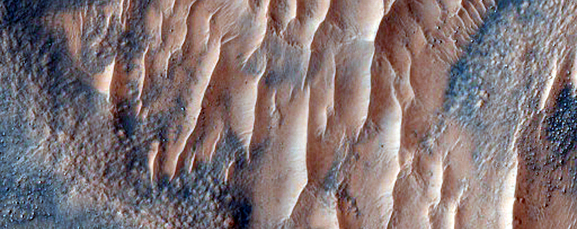Slope and Gully Monitoring