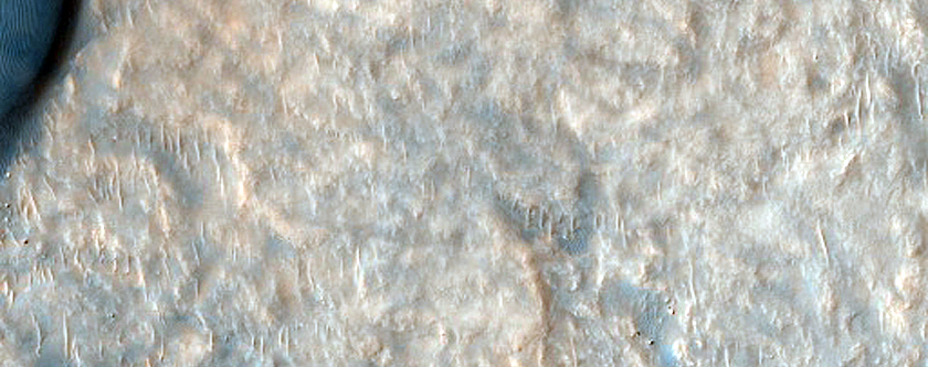 Monitoring Linear Dune Gullies in Green Crater Dune Field