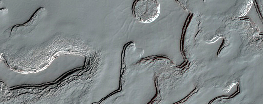 South Polar Residual Cap Monitoring