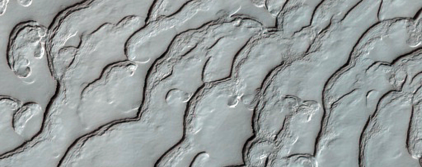 South Polar Residual Cap Monitoring