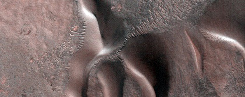 Dune Monitoring in Stokes Crater