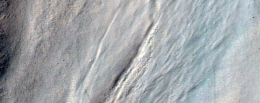 Gully Monitoring