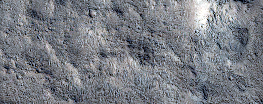 Candidate Recent Impact Site