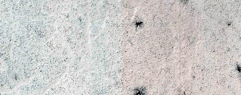 Gullies and Spiders and Dune Monitoring