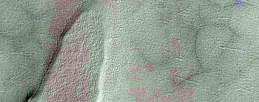 South Polar Residual Cap Monitoring